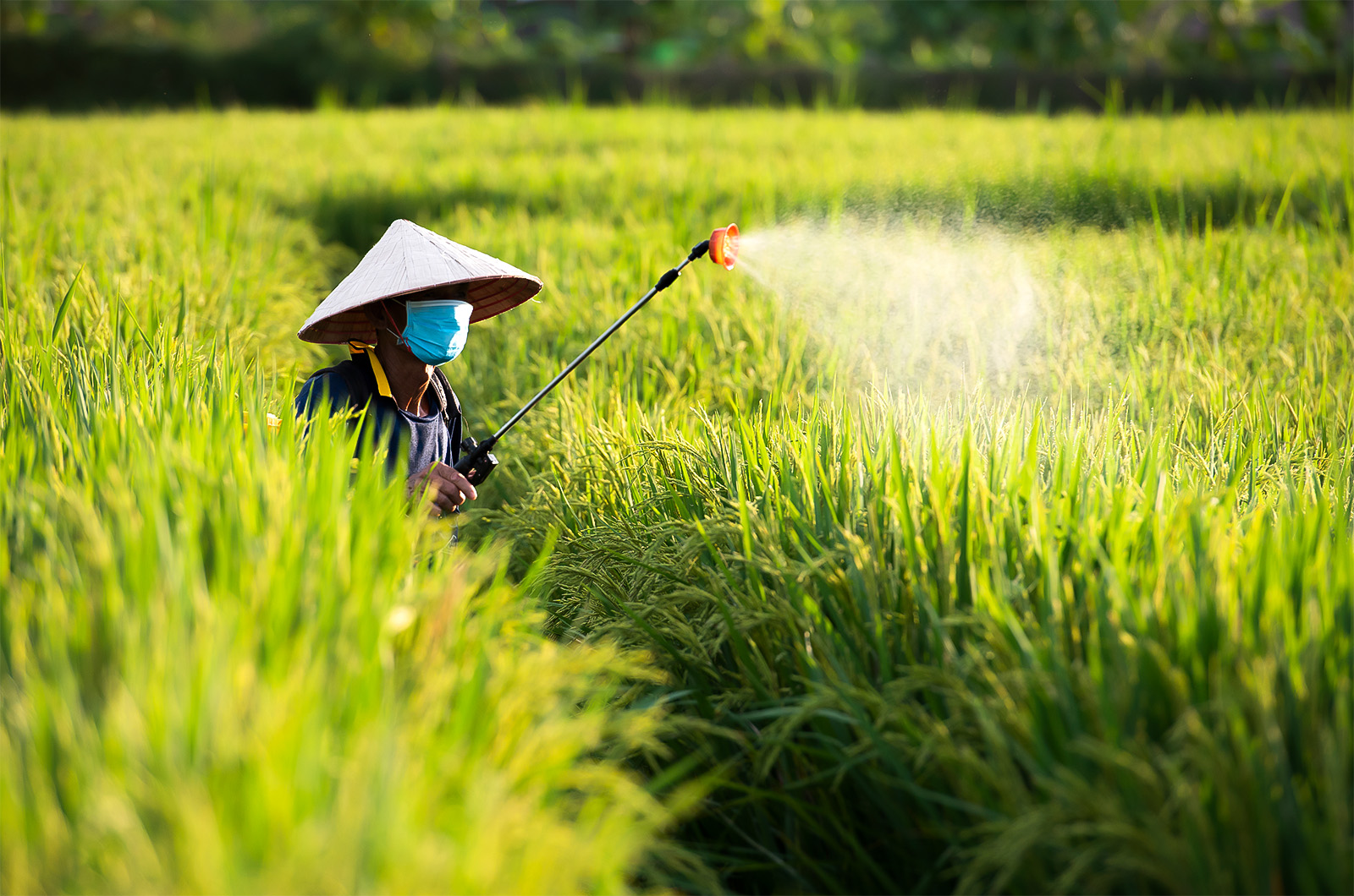 Agriculture